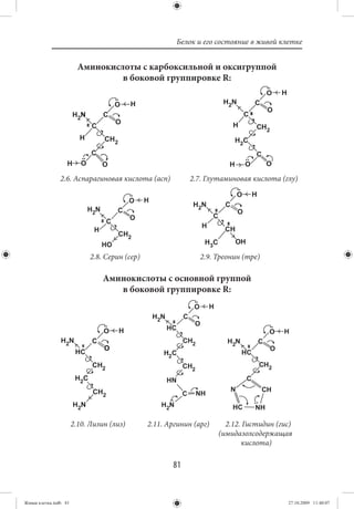 Белок и его состояние в живой клетке


                         Аминокислоты с карбоксильной и оксигруппой
                                  в боковой группировке R:




               2.6. Аспарагиновая кислота (асп)              2.7. Глутаминовая кислота (глу)




                             2.8. Серин (сер)                   2.9. Треонин (тре)

                                 Аминокислоты с основной группой
                                    в боковой группировке R:




                       2.10. Лизин (лиз)        2.11. Аргинин (арг)     2.12. Гистидин (гис)
                                                                      (имидазолсодержащая
                                                                             кислота)

                                                       81


Живая клетка.indb 81                                                                      27.10.2009 11:40:07
 