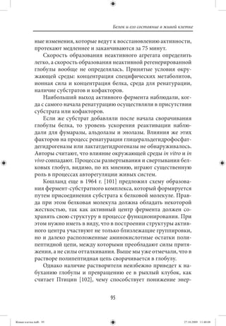 Белок и его состояние в живой клетке

             ные изменения, которые ведут к восстановлению активности,
             протекают медленнее и заканчиваются за 75 минут.
                 Скорость образования неактивного агрегата определить
             легко, а скорость образования неактивной регенерированной
             глобулы вообще не определялась. Принятые условия окру-
             жающей среды: концентрация специфических метаболитов,
             ионная сила и концентрация белка, среда для ренатурации,
             наличие субстратов и кофакторов.
                 Наибольший выход активного фермента наблюдали, ког-
             да с самого начала ренатурацию осуществляли в присутствии
             субстрата или кофакторов.
                 Если же субстрат добавляли после начала сворачивания
             глобулы белка, то уровень ускорения реактивации наблю-
             дали для фумаразы, альдолазы и энолазы. Влияния же этих
             факторов на процесс ренатурации глицеральдегидрофосфат-
             дегидрогеназы или лактатдегидрогеназы не обнаруживалось.
             Авторы считают, что влияние окружающей среды in vitro и in
             vivo совпадают. Процессы развертывания и свертывания бел-
             ковых глобул, видимо, по их мнению, играют существенную
             роль в процессах авторегуляции живых систем.
                 Кошланд еще в 1964 г. [101] предложил схему образова-
             ния фермент-субстратного комплекса, который формируется
             путем присоединения субстрата к белковой молекуле. Прав-
             да при этом белковая молекула должна обладать некоторой
             жесткостью, так как активный центр фермента должен со-
             хранять свою структуру в процессе функционирования. При
             этом нужно иметь в виду, что в построении структуры актив-
             ного центра участвуют не только близлежащие группировки,
             но и далеко расположенные аминокислотные остатки поли-
             пептидной цепи, между которыми преобладают силы притя-
             жения, а не силы отталкивания. Выше мы уже отмечали, что в
             растворе полипептидная цепь сворачивается в глобулу.
                 Однако наличие растворителя неизбежно приведет к на-
             буханию глобулы и превращению ее в рыхлый клубок, как
             считает Птицин [102], чему способствует понижение энер-


                                         95


Живая клетка.indb 95                                                     27.10.2009 11:40:08
 