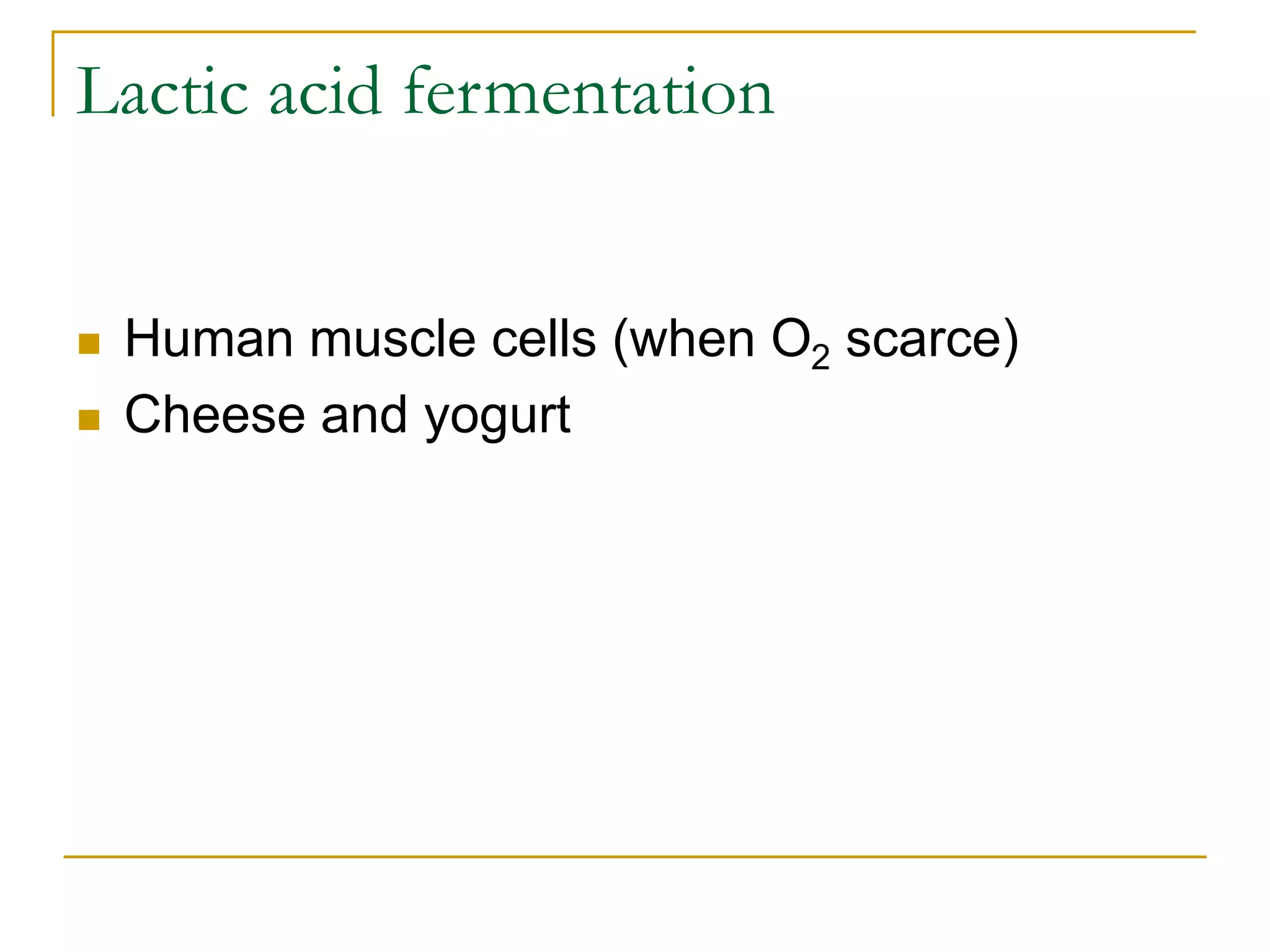 Lactic acid fermentation
 Human muscle cells (when O2 scarce)
 Cheese and yogurt
 