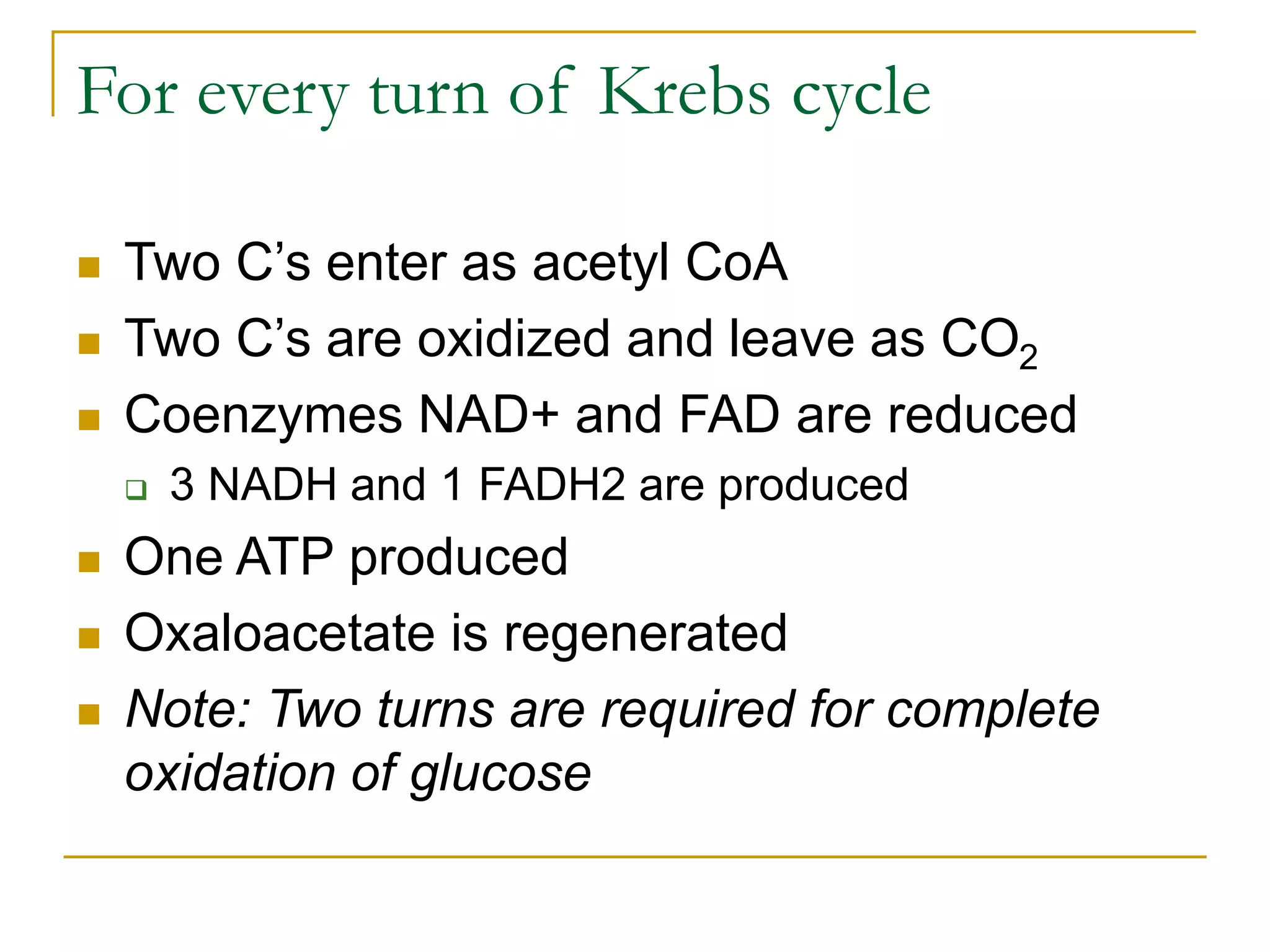 For every turn of Krebs cycle
 Two C’s enter as acetyl CoA
 Two C’s are oxidized and leave as CO2
 Coenzymes NAD+ and FAD are reduced
 3 NADH and 1 FADH2 are produced
 One ATP produced
 Oxaloacetate is regenerated
 Note: Two turns are required for complete
oxidation of glucose
 