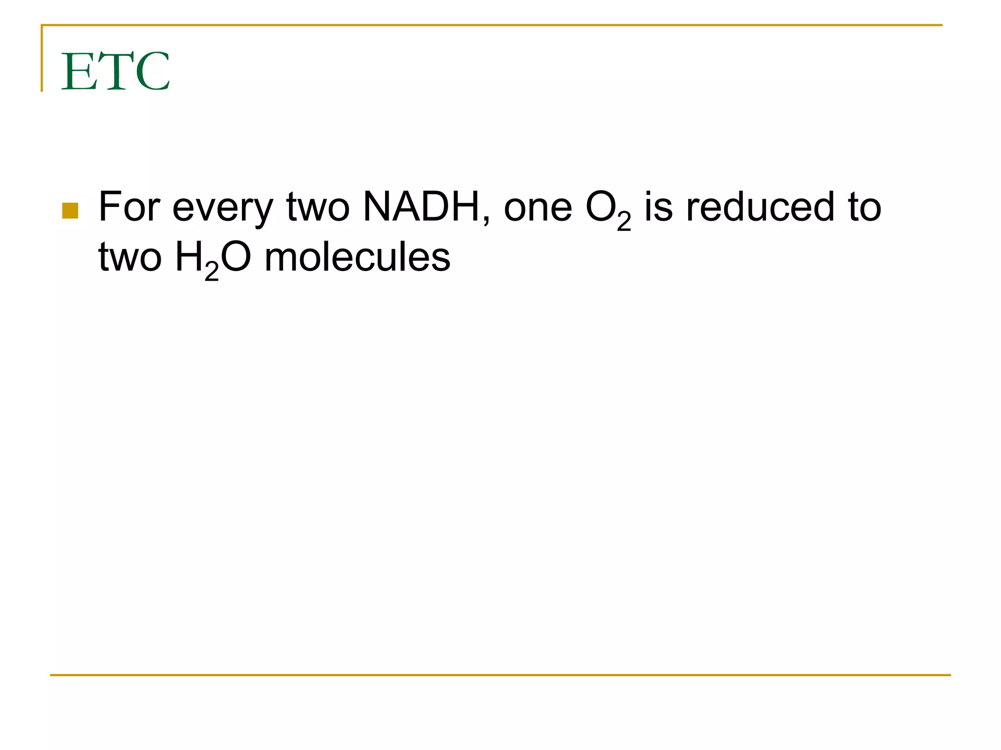 ETC
 For every two NADH, one O2 is reduced to
two H2O molecules
 