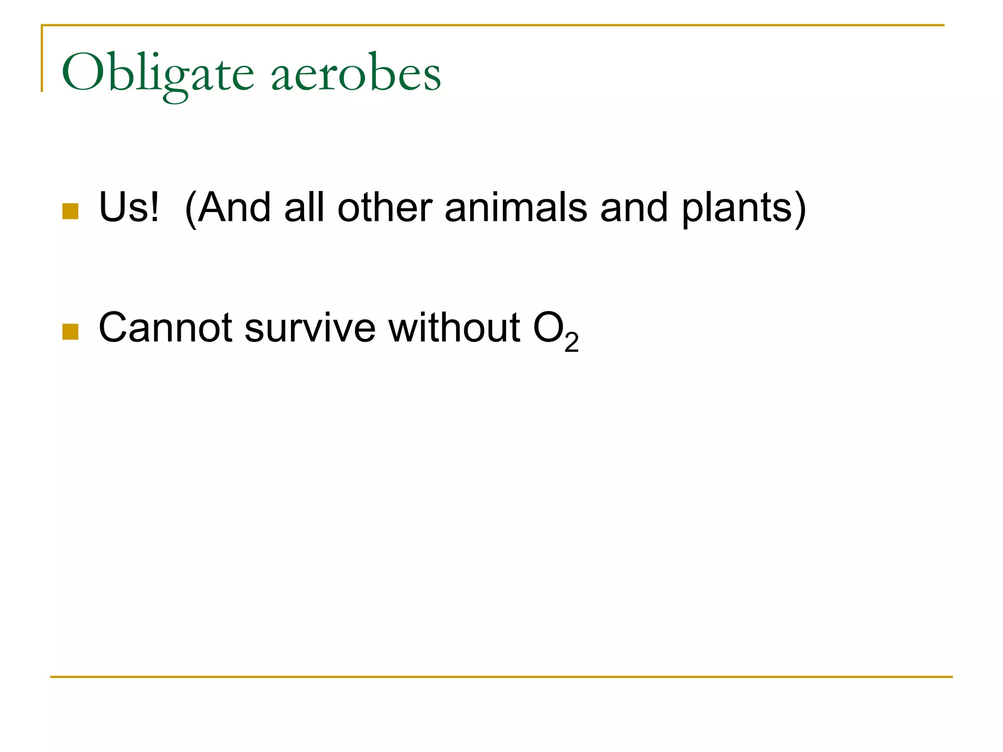 Obligate aerobes
 Us! (And all other animals and plants)
 Cannot survive without O2
 