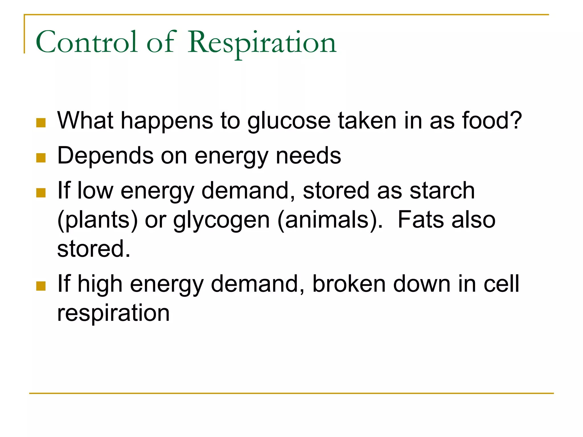 Control of Respiration
 What happens to glucose taken in as food?
 Depends on energy needs
 If low energy demand, stored as starch
(plants) or glycogen (animals). Fats also
stored.
 If high energy demand, broken down in cell
respiration
 