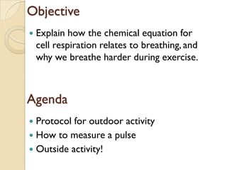 Objective
   Explain how the chemical equation for
    cell respiration relates to breathing, and
    why we breathe harder during exercise.



Agenda
 Protocol for outdoor activity
 How to measure a pulse
 Outside activity!
 