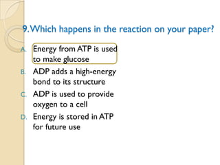 9. Which happens in the reaction on your paper?
A. Energy from ATP is used
   to make glucose
B. ADP adds a high-energy
   bond to its structure
C. ADP is used to provide
   oxygen to a cell
D. Energy is stored in ATP
   for future use
 