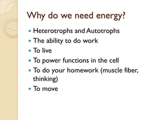 Why do we need energy?
 Heterotrophs and Autotrophs
 The ability to do work
 To live
 To power functions in the cell
 To do your homework (muscle fiber,
  thinking)
 To move
 