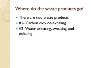Where do the waste products go?
 There are two waste products
 #1- Carbon dioxide-exhaling
 #2- Water-urinating, sweating, and
  exhaling
 