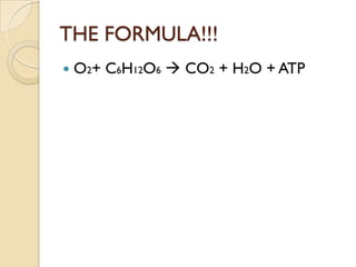 THE FORMULA!!!
   O2+ C6H12O6  CO2 + H2O + ATP
 
