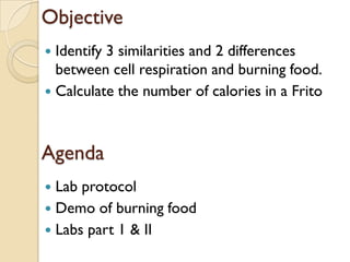 Objective
 Identify 3 similarities and 2 differences
  between cell respiration and burning food.
 Calculate the number of calories in a Frito




Agenda
 Lab protocol
 Demo of burning food
 Labs part 1 & II
 