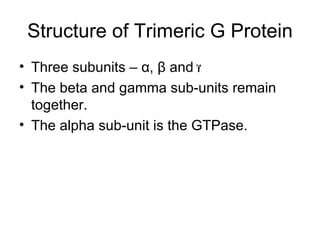 Structure of Trimeric G Protein Three subunits –  α ,  β  and  The beta and gamma sub-units remain together. The alpha sub-unit is the GTPase. 