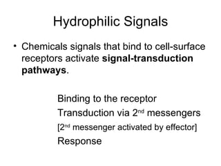 Hydrophilic Signals Chemicals signals that bind to cell-surface receptors activate  signal-transduction pathways . Binding to the receptor Transduction via 2 nd  messengers [2 nd  messenger activated by effector] Response 