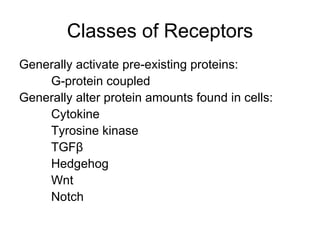 Classes of Receptors Generally activate pre-existing proteins: G-protein coupled Generally alter protein amounts found in cells: Cytokine Tyrosine kinase TGF β Hedgehog Wnt Notch 