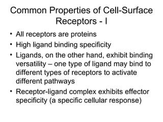 Common Properties of Cell-Surface Receptors - I All receptors are proteins High ligand binding specificity Ligands, on the other hand, exhibit binding versatility – one type of ligand may bind to different types of receptors to activate different pathways Receptor-ligand complex exhibits effector specificity (a specific cellular response) 