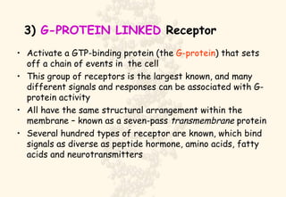 3)  G-PROTEIN LINKED  Receptor Activate a GTP-binding protein (the  G-protein ) that sets off a chain of events in  the cell This group of receptors is the largest known, and many different signals and responses can be associated with G-protein activity All have the same structural arrangement within the membrane – known as a seven-pass  transmembrane  protein Several hundred types of receptor are known, which bind signals as diverse as peptide hormone, amino acids, fatty acids and neurotransmitters 