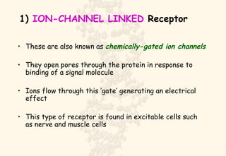1)  ION-CHANNEL LINKED  Receptor These are also known as  chemically-gated ion channels They open pores through the protein in response to binding of a signal molecule Ions flow through this ’gate’ generating an electrical effect This type of receptor is found in excitable cells such as nerve and muscle cells 