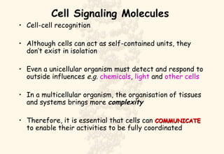 Cell Signaling Molecules ,[object Object],[object Object],[object Object],[object Object],[object Object]