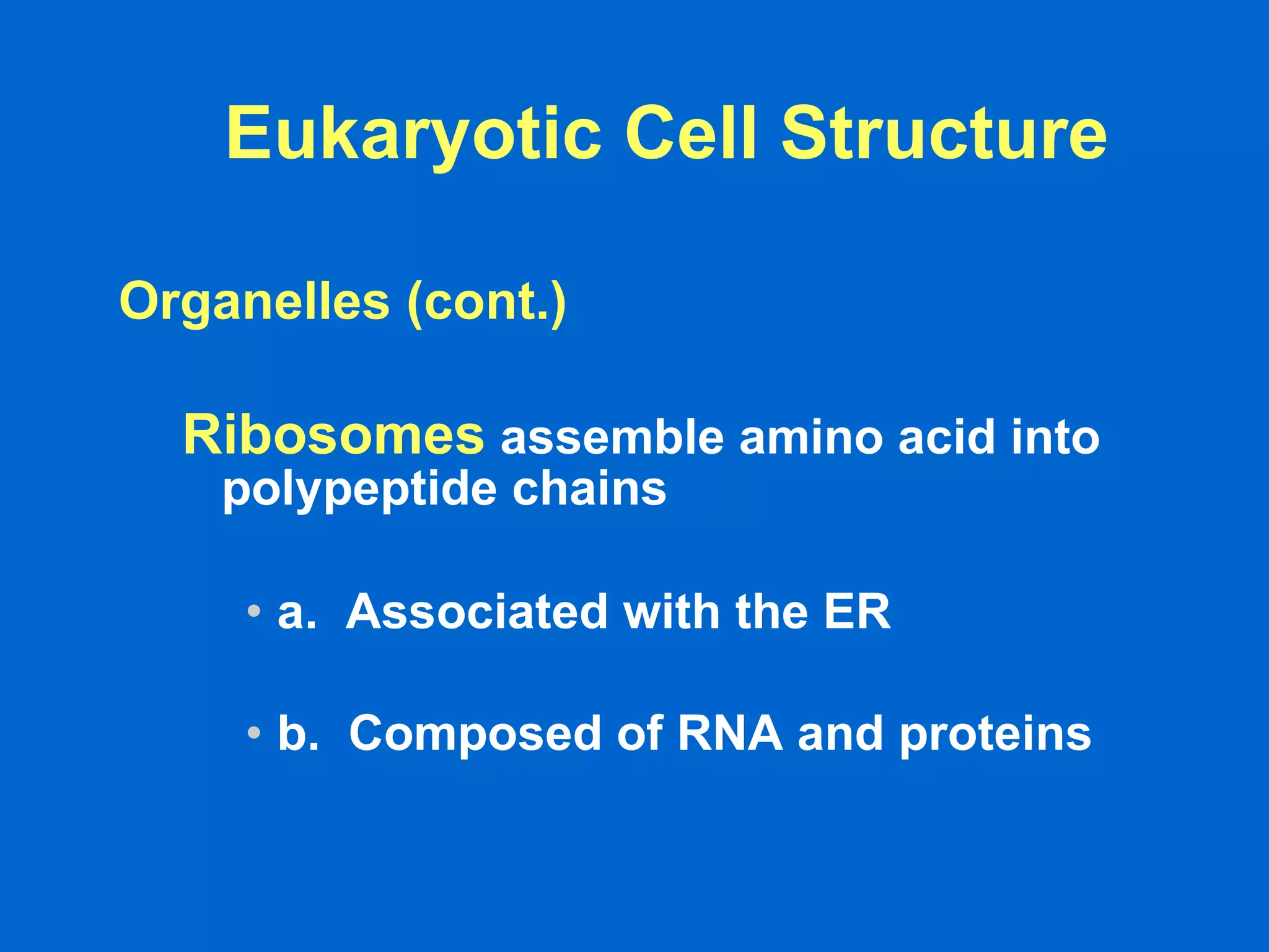 Eukaryotic Cell Structure Organelles (cont.) Ribosomes   assemble amino acid into polypeptide chains  a.  Associated with the ER  b.  Composed of RNA and proteins   