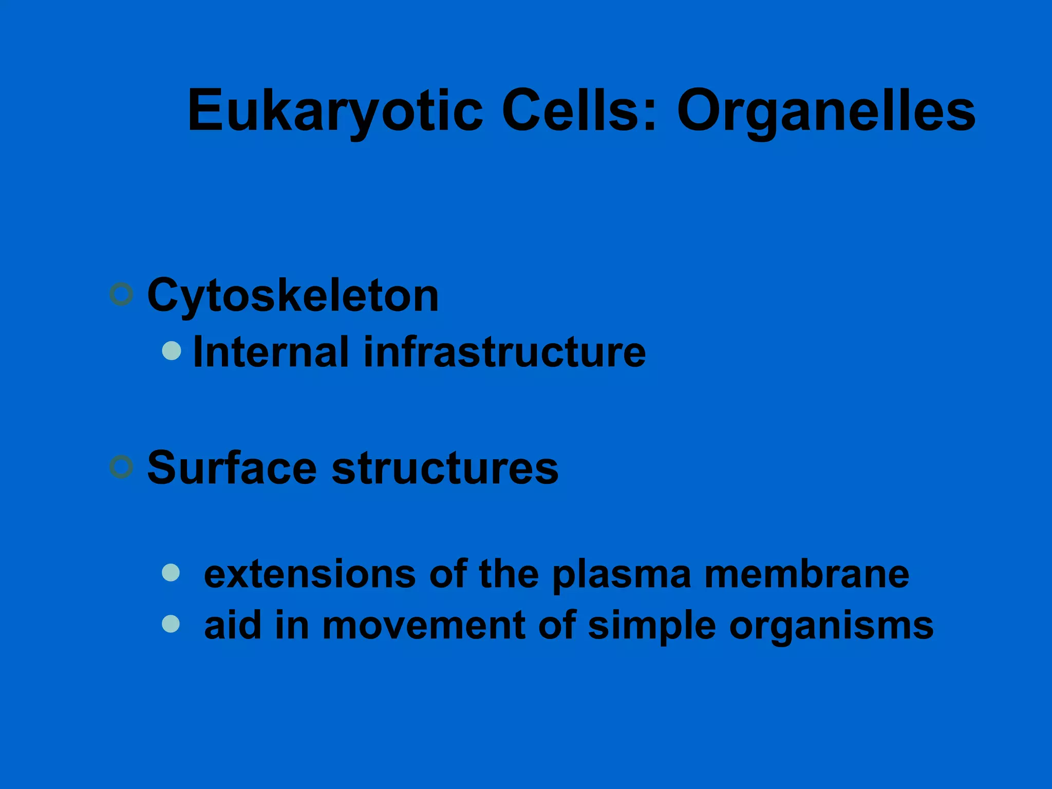 Eukaryotic Cells: Organelles Cytoskeleton Internal infrastructure Surface structures extensions of the plasma membrane  aid in movement of simple organisms 