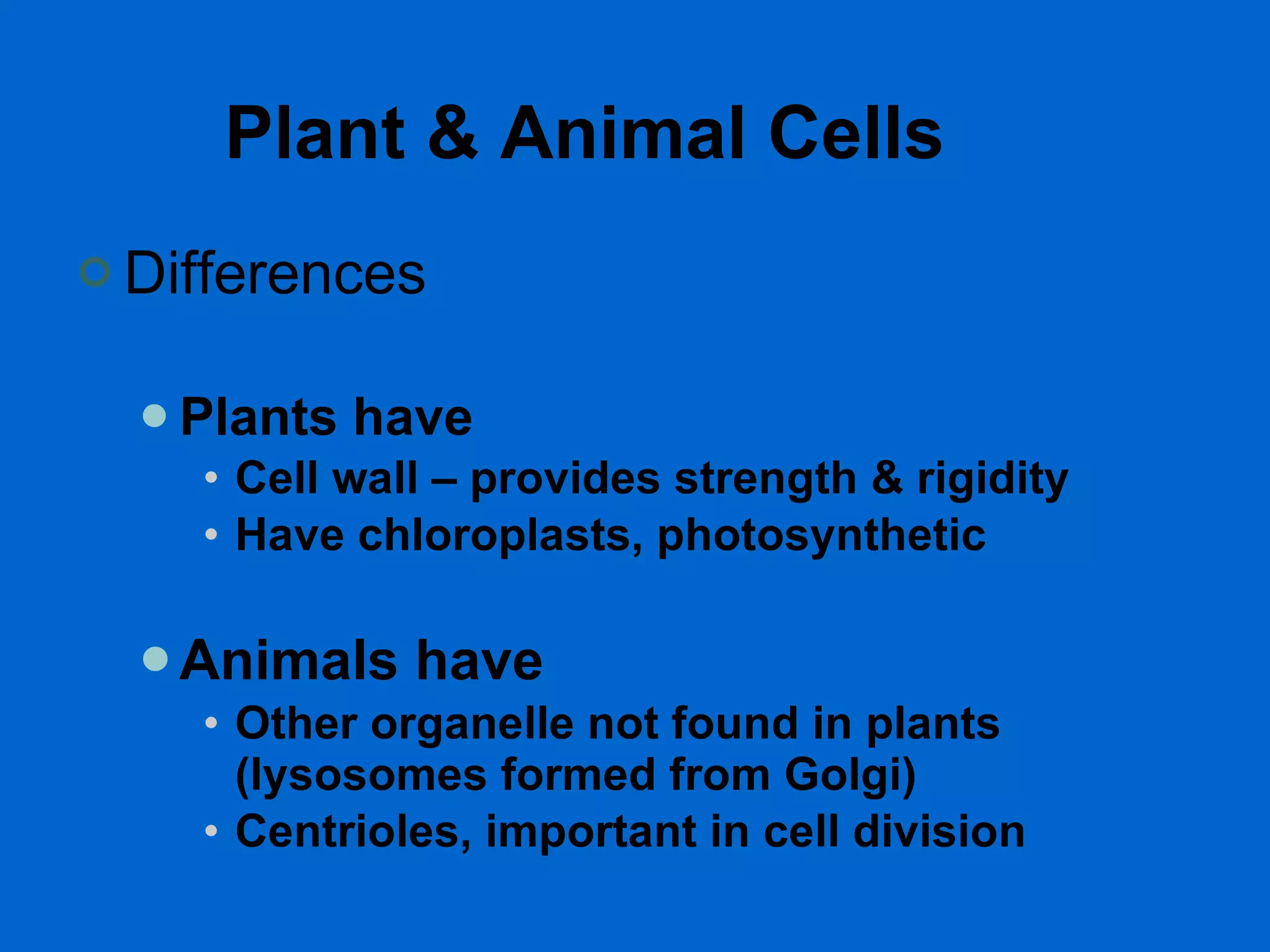 Plant & Animal Cells Differences Plants have Cell wall – provides strength & rigidity Have chloroplasts, photosynthetic Animals have Other organelle not found in plants (lysosomes formed from Golgi) Centrioles, important in cell division 