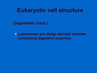 Eukaryotic cell structure Organelles (cont.) Lysosomes are Golgi-derived vesicles containing digestive enzymes 