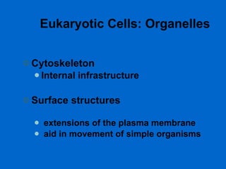 Eukaryotic Cells: Organelles Cytoskeleton Internal infrastructure Surface structures extensions of the plasma membrane  aid in movement of simple organisms 