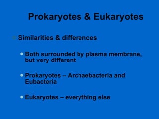 Prokaryotes & Eukaryotes Similarities & differences Both surrounded by plasma membrane, but very different Prokaryotes – Archaebacteria and Eubacteria Eukaryotes – everything else 