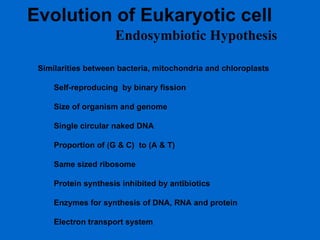 Evolution of Eukaryotic cell Endosymbiotic Hypothesis Similarities between bacteria, mitochondria and chloroplasts Self-reproducing  by binary fission Size of organism and genome Single circular naked DNA Proportion of (G & C)  to (A & T) Same sized ribosome Protein synthesis inhibited by antibiotics Enzymes for synthesis of DNA, RNA and protein Electron transport system 