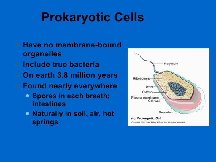 Cell structure-function