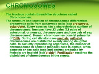 Cell structure and function
