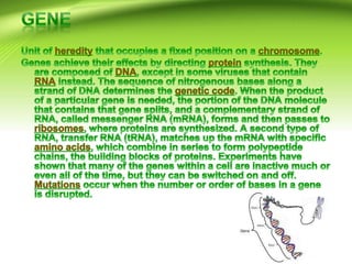 Cell structure and function