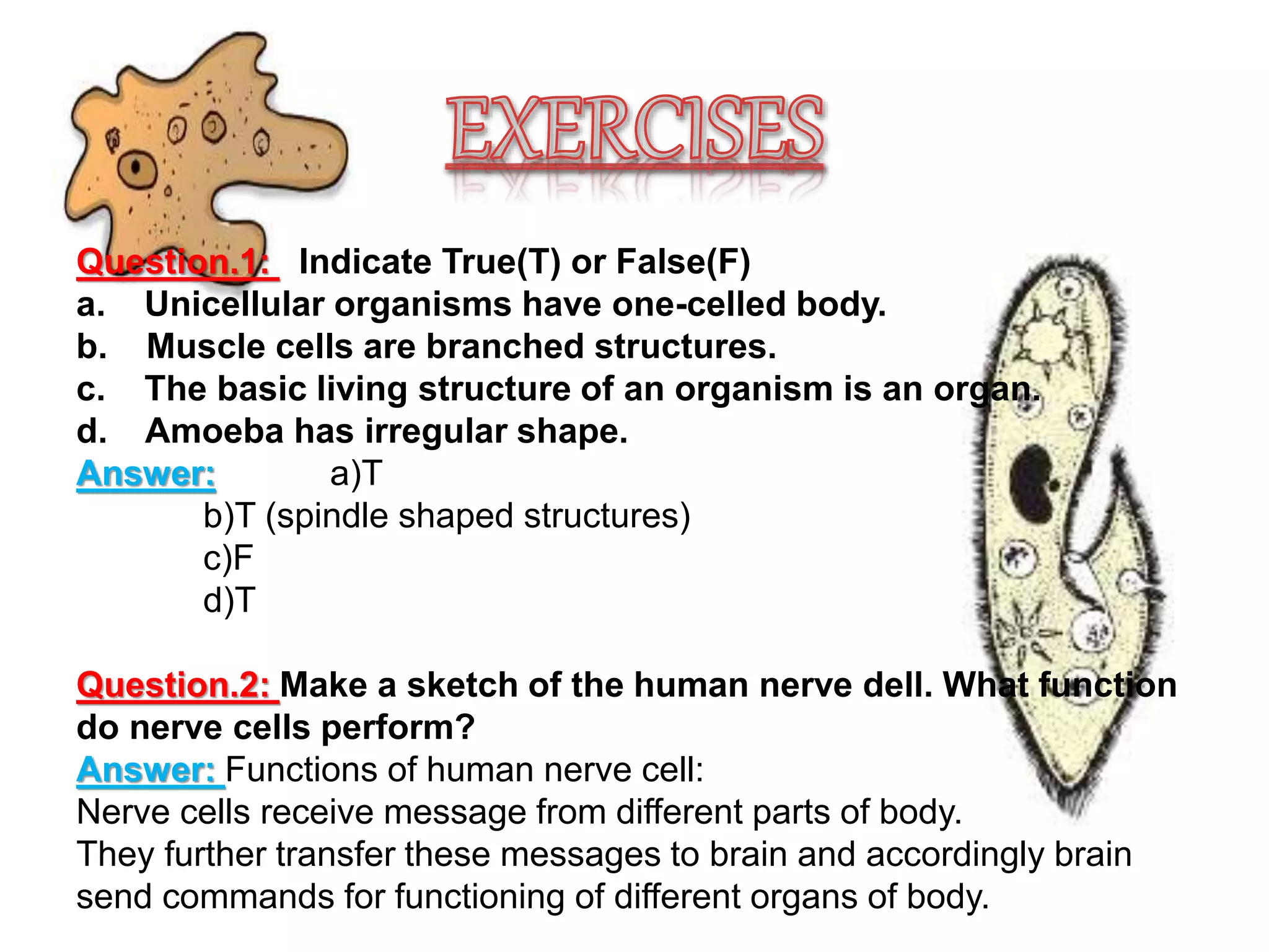 CBSE CLASS 8 CELL STRUCTURE AND FUNCTION visual data 2
