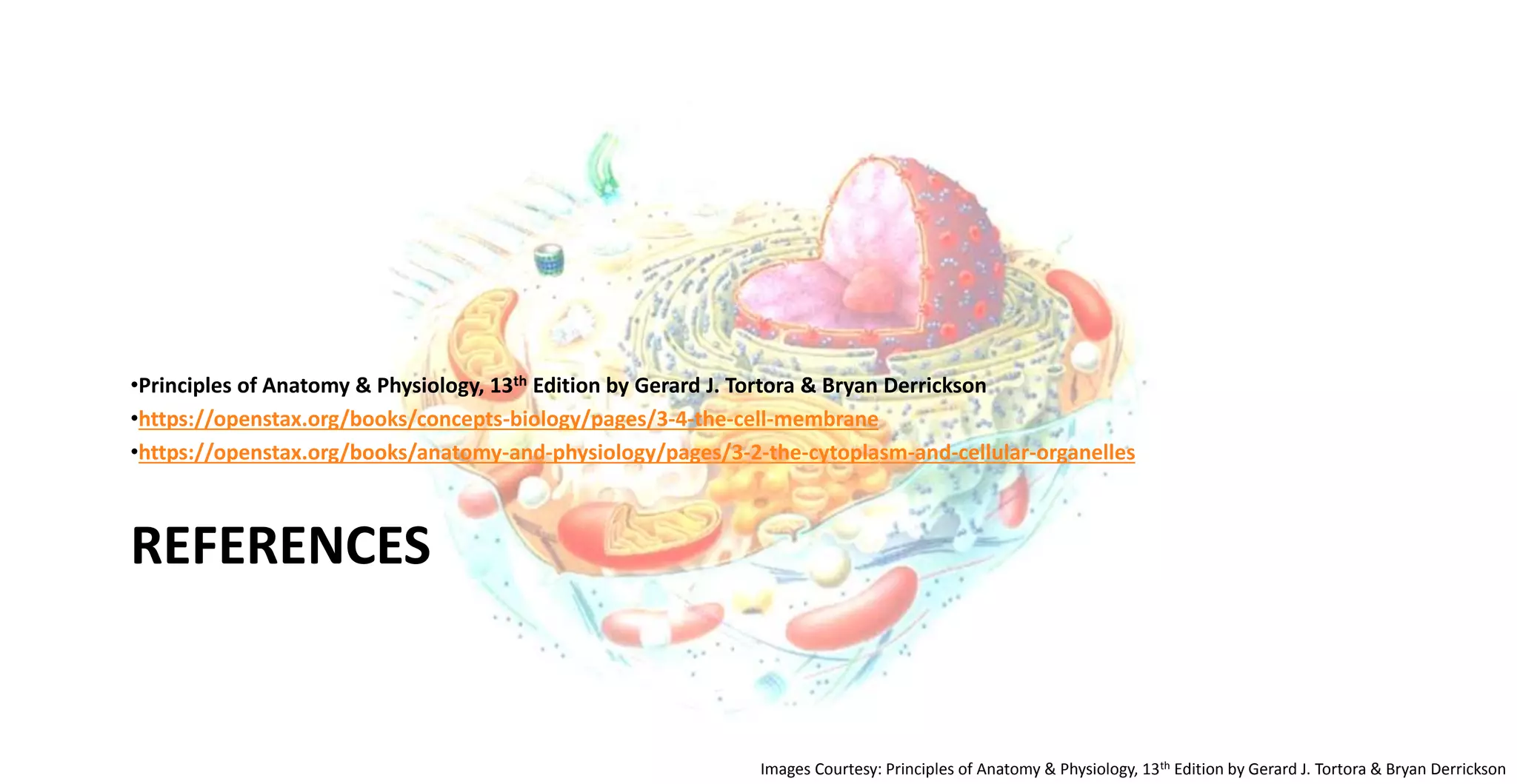 Cell structure and function | PPTX
