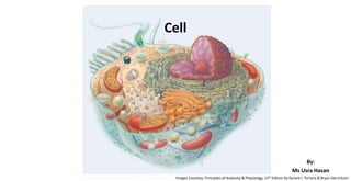 Cell
By:
Ms Usra Hasan
Images Courtesy: Principles of Anatomy & Physiology, 13th Edition by Gerard J. Tortora & Bryan Derrickson
 