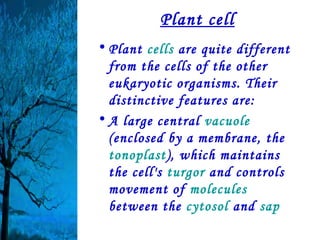 Plant cell
• Plant cells are quite different
  from the cells of the other
  eukaryotic organisms. Their
  distinctive features are:
• A large central vacuole
  (enclosed by a membrane, the
  tonoplast), which maintains
  the cell's turgor and controls
  movement of molecules
  between the cytosol and sap
 