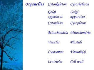Organelles Cytoskeleton Cytoskeleton
            Golgi        Golgi
            apparatus    apparatus
            Cytoplasm    Cytoplasm

            Mitochondria Mitochondria

            Vesicles     Plastids

            Lysosomes    Vacuole(s)

            Centrioles   Cell wall
 