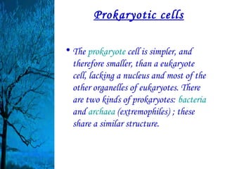 Prokaryotic cells

• The prokaryote cell is simpler, and
  therefore smaller, than a eukaryote
  cell, lacking a nucleus and most of the
  other organelles of eukaryotes. There
  are two kinds of prokaryotes: bacteria
  and archaea (extremophiles) ; these
  share a similar structure.
 