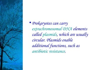 • Prokaryotes can carry
  extrachromosomal DNA elements
  called plasmids, which are usually
  circular. Plasmids enable
  additional functions, such as
  antibiotic resistance.
 