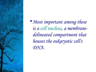 • Most important among these
  is a cell nucleus, a membrane-
  delineated compartment that
  houses the eukaryotic cell's
  DNA.
 