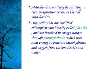 • Mitochondria multiply by splitting in
  two. Respiration occurs in the cell
  mitochondria.
• Organelles that are modified
  chloroplasts are broadly called plastids
  , and are involved in energy storage
  through photosynthesis, which uses
  solar energy to generate carbohydrates
  and oxygen from carbon dioxide and
  water.
 