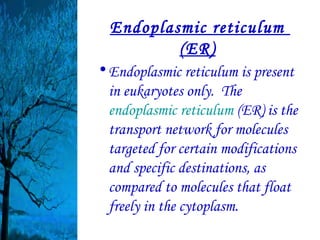 Endoplasmic reticulum
          (ER)
• Endoplasmic reticulum is present
  in eukaryotes only.  The
  endoplasmic reticulum (ER) is the
  transport network for molecules
  targeted for certain modifications
  and specific destinations, as
  compared to molecules that float
  freely in the cytoplasm.
 