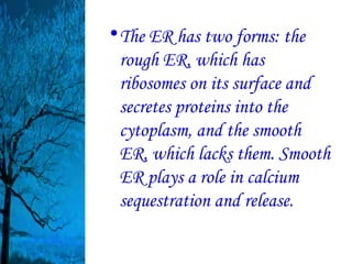 • The ER has two forms: the
  rough ER, which has
  ribosomes on its surface and
  secretes proteins into the
  cytoplasm, and the smooth
  ER, which lacks them. Smooth
  ER plays a role in calcium
  sequestration and release.
 