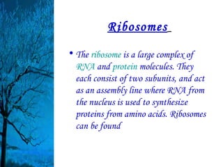 Ribosomes
• The ribosome is a large complex of
  RNA and protein molecules. They
  each consist of two subunits, and act
  as an assembly line where RNA from
  the nucleus is used to synthesize
  proteins from amino acids. Ribosomes
  can be found
 