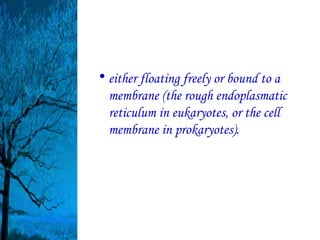 • either floating freely or bound to a
  membrane (the rough endoplasmatic
  reticulum in eukaryotes, or the cell
  membrane in prokaryotes).
 