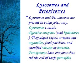 Lysosomes and
        Peroxisomes
• Lysosomes and Peroxisomes are
  present in eukaryotes only.
  Lysosomes contain
  digestive enzymes (acid hydrolases
  ). They digest excess or worn-out
  organelles, food particles, and
  engulfed viruses or bacteria.
  Peroxisomes have enzymes that
  rid the cell of toxic peroxides.
 
