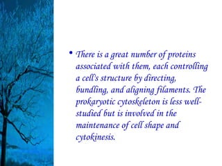 • There is a great number of proteins
  associated with them, each controlling
  a cell's structure by directing,
  bundling, and aligning filaments. The
  prokaryotic cytoskeleton is less well-
  studied but is involved in the
  maintenance of cell shape and
  cytokinesis.
 