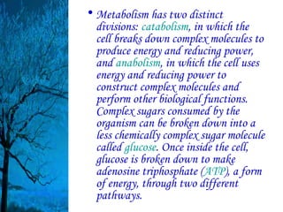 • Metabolism has two distinct
  divisions: catabolism, in which the
  cell breaks down complex molecules to
  produce energy and reducing power,
  and anabolism, in which the cell uses
  energy and reducing power to
  construct complex molecules and
  perform other biological functions.
  Complex sugars consumed by the
  organism can be broken down into a
  less chemically complex sugar molecule
  called glucose. Once inside the cell,
  glucose is broken down to make
  adenosine triphosphate (ATP), a form
  of energy, through two different
  pathways.
 