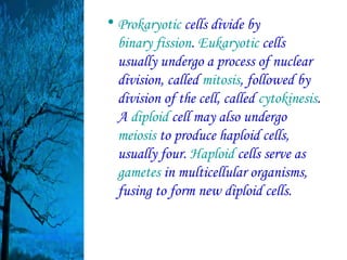 • Prokaryotic cells divide by
  binary fission. Eukaryotic cells
  usually undergo a process of nuclear
  division, called mitosis, followed by
  division of the cell, called cytokinesis.
  A diploid cell may also undergo
  meiosis to produce haploid cells,
  usually four. Haploid cells serve as
  gametes in multicellular organisms,
  fusing to form new diploid cells.
 