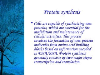 Protein synthesis
• Cells are capable of synthesizing new
  proteins, which are essential for the
  modulation and maintenance of
  cellular activities. This process
  involves the formation of new protein
  molecules from amino acid building
  blocks based on information encoded
  in DNA/RNA. Protein synthesis
  generally consists of two major steps:
  transcription and translation.
 