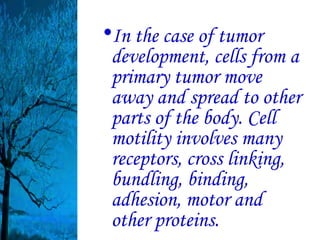 •In the case of tumor
 development, cells from a
 primary tumor move
 away and spread to other
 parts of the body. Cell
 motility involves many
 receptors, cross linking,
 bundling, binding,
 adhesion, motor and
 other proteins.
 