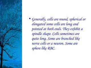 • Generally, cells are round, spherical or
  elongated some cells are long and
  pointed at both ends. They exhibit a
  spindle shape. Cells sometimes are
  quite long. Some are branched like
  nerve cells or a neuron. Some are
  sphere like RBC.
 